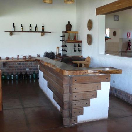 Casa Hacienda Nasca Oasis Hotel Nazca Bagian luar foto