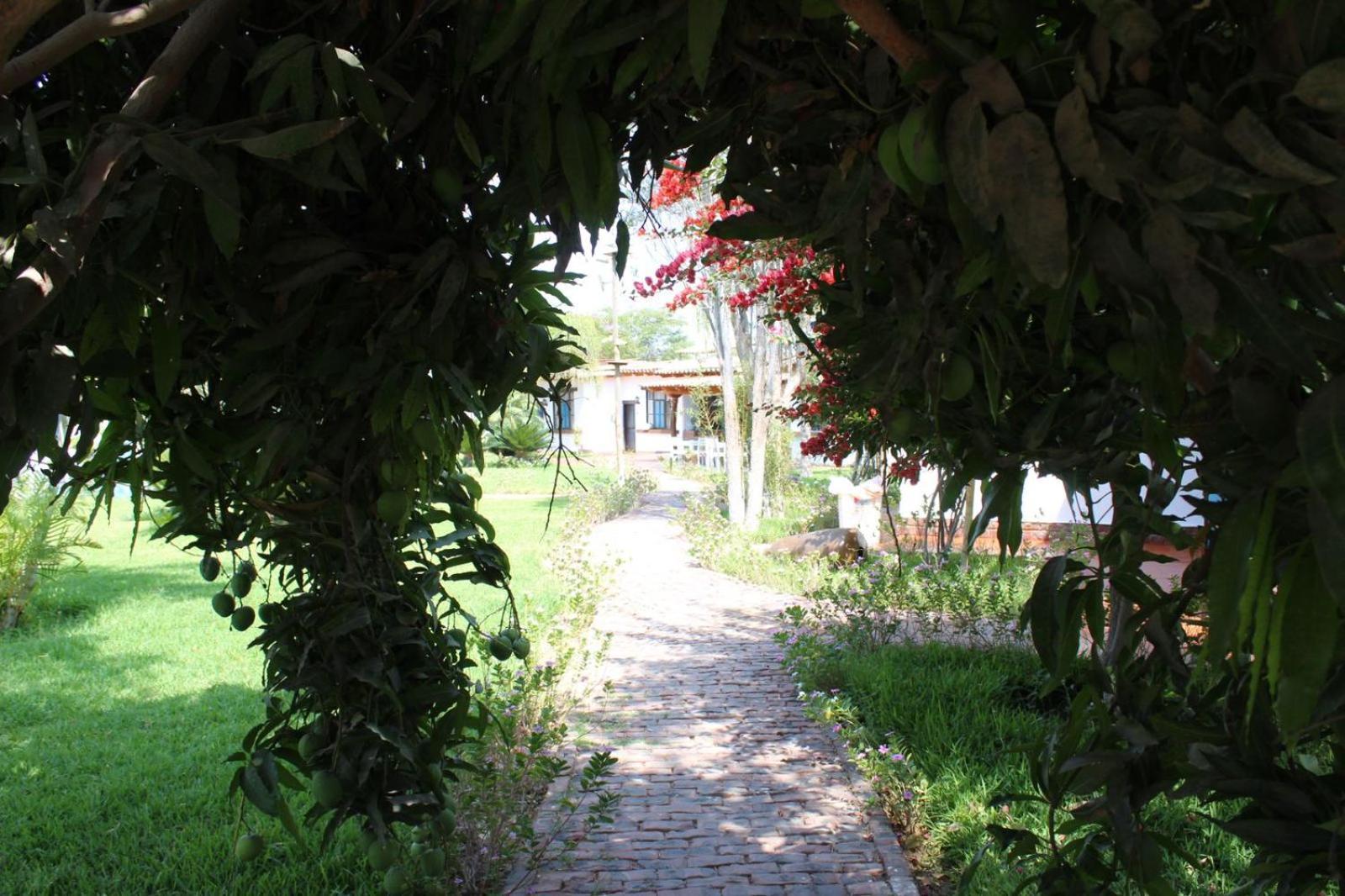 Casa Hacienda Nasca Oasis Hotel Nazca Bagian luar foto
