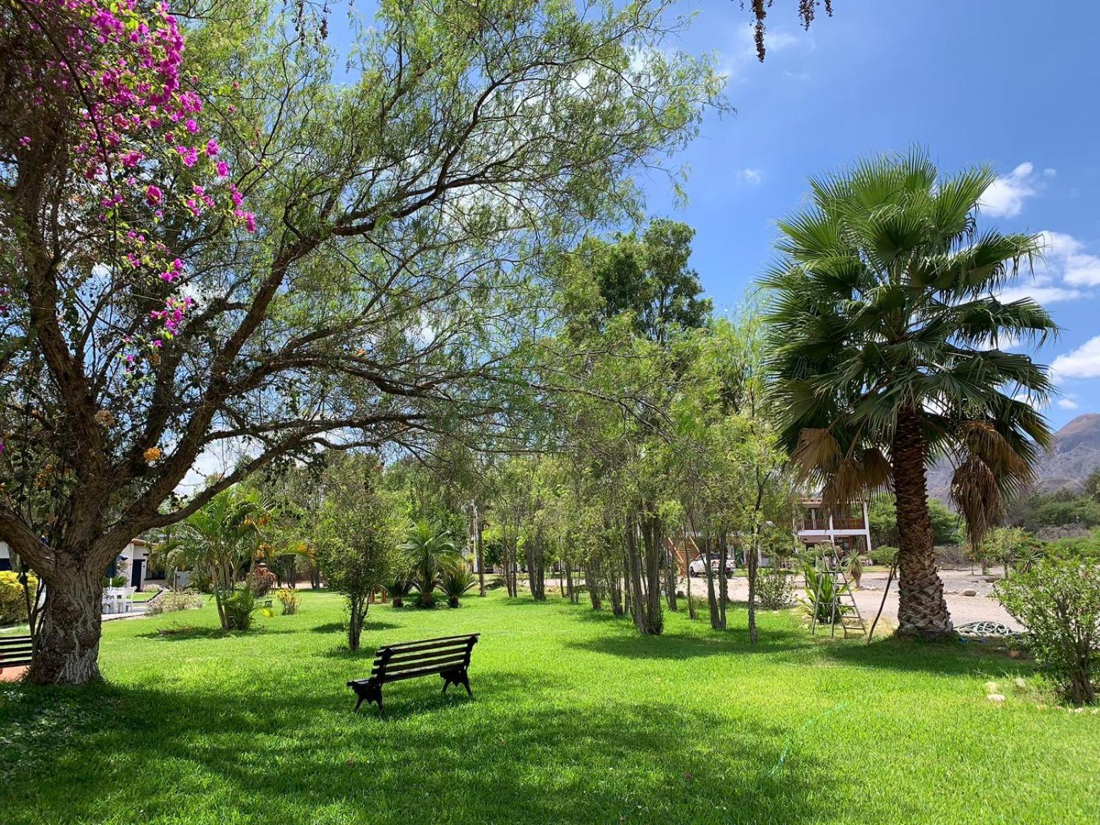 Casa Hacienda Nasca Oasis Hotel Nazca Bagian luar foto