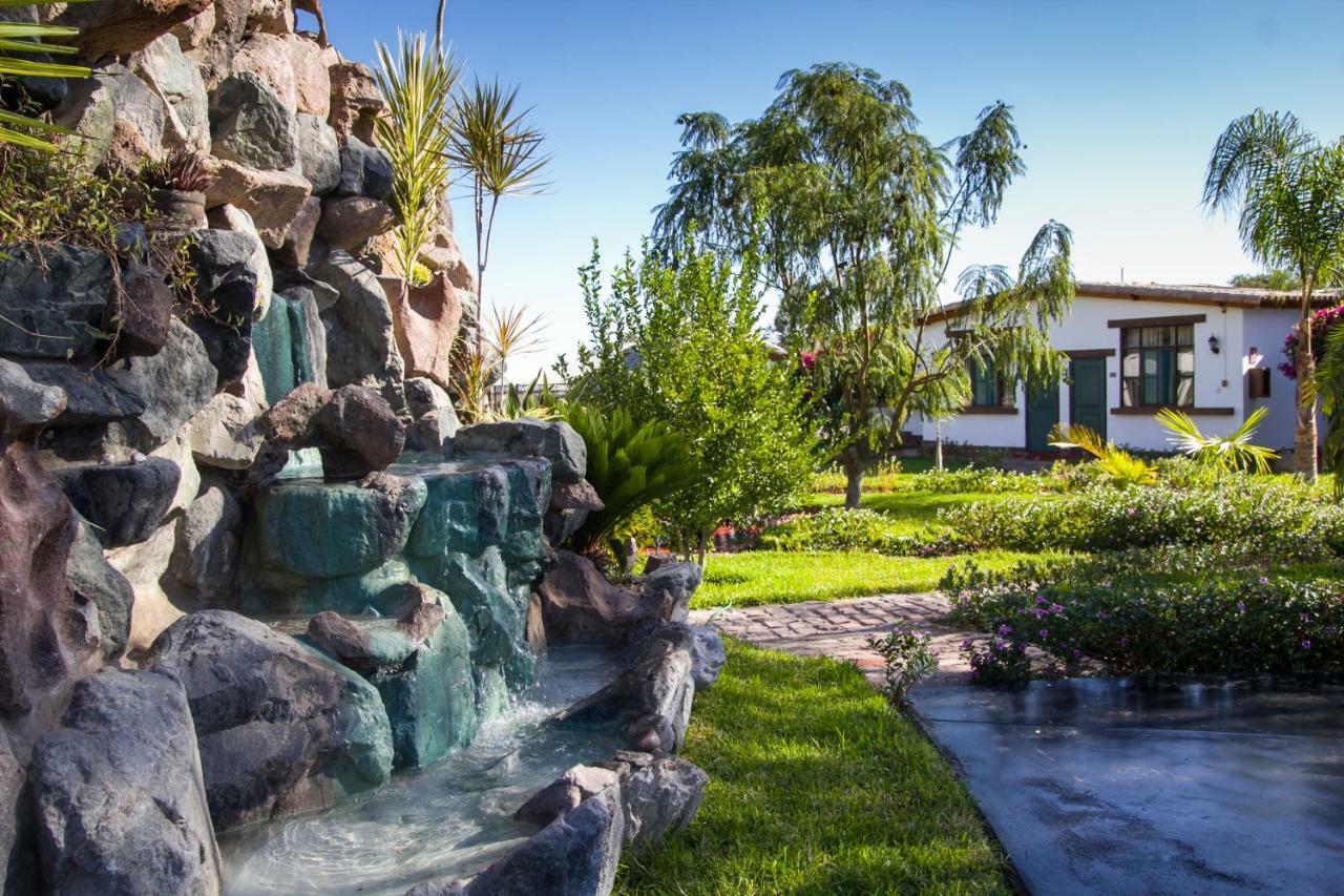 Casa Hacienda Nasca Oasis Hotel Nazca Bagian luar foto