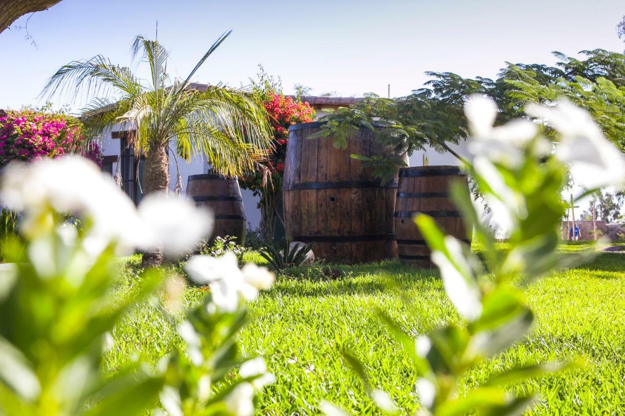 Casa Hacienda Nasca Oasis Hotel Nazca Bagian luar foto