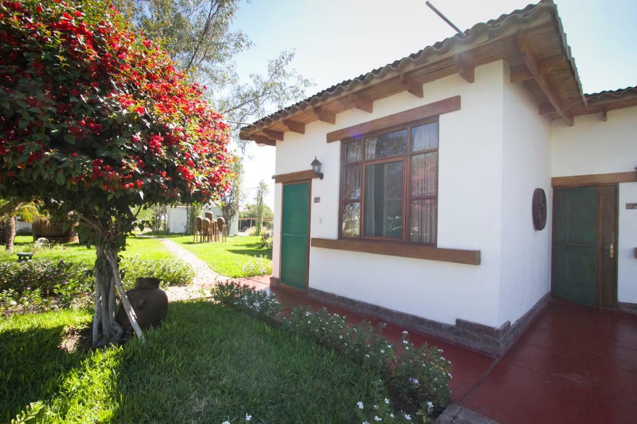Casa Hacienda Nasca Oasis Hotel Nazca Bagian luar foto